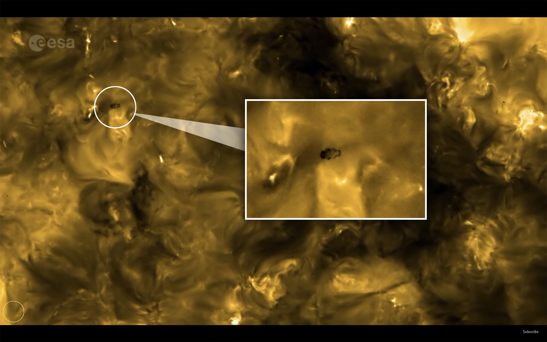 太陽表面有個巨大生物在移動 科學家 像水熊蟲 但可以解釋 17看遍全世界