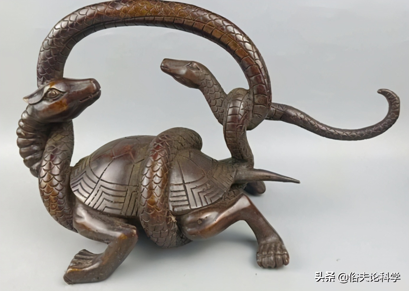 神獸 玄武 果然存在 因肉質鮮美 在00年前被人類吃光 17看遍全世界