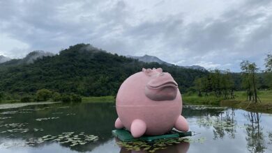 雕塑家陳奕彰則在鹿野的秘境新良濕地創作「粉紅河馬」，肚子圓嘟嘟的粉紅河馬在湖片上隨風映著波光粼粼，一派淘氣歡愉。（馮惠宜攝）