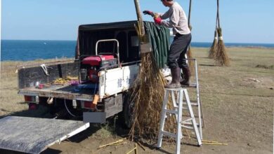 國立海洋科技博物館表示，近期將視竹子與天候狀況，進行修補，預計9月底補齊12支飛天掃帚。（國立海洋科技博物館提供／陳彩玲基隆傳真）