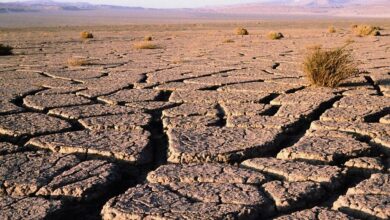 爾米亞湖（Lake Urmia）曾是中東最大的鹹水湖，受到過度開發、氣候變遷等因素影響，湖水面積如今連一半都不到，乾涸的部分變成沙漠。（示意圖／達志影像）