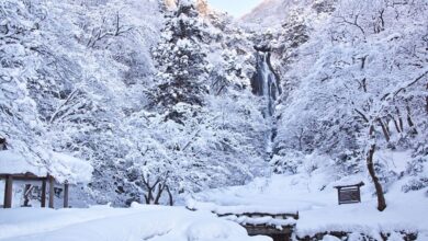 岡山縣山林間的雪白仙境「神庭瀑布」。　圖：日本旅行情報局／提供