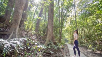 蘭潭後山步道是森林浴的好去處。　圖：嘉義市政府觀光新聞處／提供