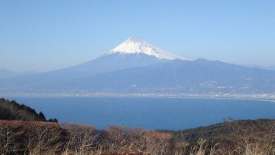伊豆半島的達磨山可飽覽富士山美景。　圖：美好伊豆創造中心／提供
