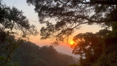 彰化田中森林步道，觀賞到的夕陽美景。（參山國家風景區管理處提供／黃國峰台中傳真）