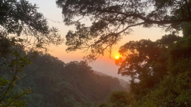 八卦山風景區-田中森林步道夕陽美景。　圖：參山國家風景區管理處／提供