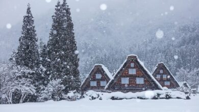 白川鄉合掌村的雪中點燈風光宛如童話世界。　圖：白川鄉觀光協會／提供