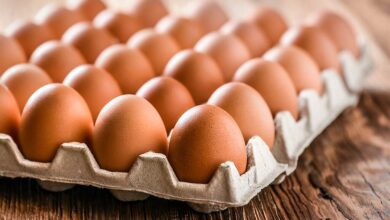 蛋含有膽固醇，一天攝取量應不超過幾顆呢？營養師程涵宇在臉書解答，並分享16種蛋料理的膽固醇排行。(示意圖/達志影像)