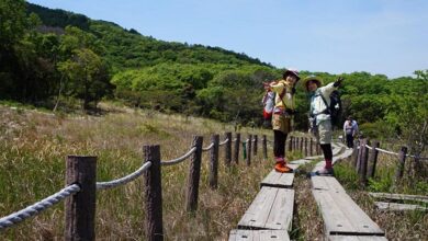 橫跨愛知縣和靜岡縣的弓張山系西邊的葦毛濕原，又被稱為「東海的小尾瀬」。　圖：愛知縣東三河總局／提供