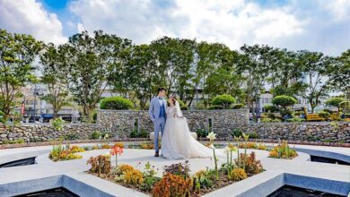 台北玫瑰園為北部外拍婚紗景點的新選擇。（北市公園處提供／楊亞璇台北傳真）