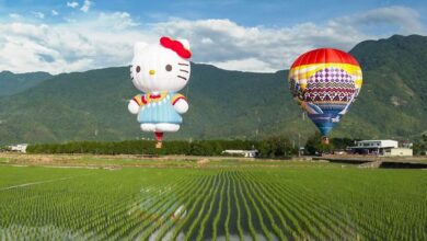 超人氣台灣國際熱氣球嘉年華。　圖：台東縣政府交通及觀光發展處觀光管理科／提供