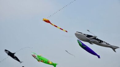 2022桃園國際風箏節春季，於3月26、27日舉行。　圖：桃園市政府觀光旅遊局／提供