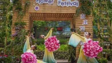2022南庄花卉節將於4月23日至5月22日舉辦。　圖：參山國家風景區管理處／提供