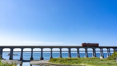 由藍天、綠地、列車與惣郷鐵橋組成美麗景色，讓人一見難忘。　圖：山口県観光連盟／來源