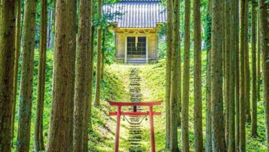 夏季期間「小野曾神社」受翠綠圍繞，夢幻景色彷彿動畫或電影場景般。　圖：一般社団法人東北観光推進機構／來源