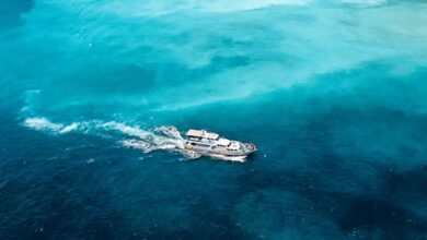 宜蘭龜山島賞鯨體驗追尋鯨豚的蹤跡，還會行經夢幻奶藍色的牛奶海，讓龜山島賞鯨體驗成為夏日人氣戶外體驗Top 20的第1名。　圖：Klook／提供