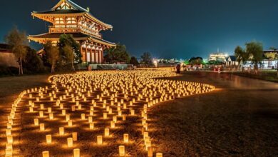 朱雀門「燈花會」在祭典期間每天日落後登場，為盛夏玩奈良的必追美景。　圖：写真AC／來源