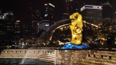 為歡慶50周年，魚尾獅雕像將於9月15日至29日，每日晚間進行亮燈活動。　圖：新加坡旅遊局／提供