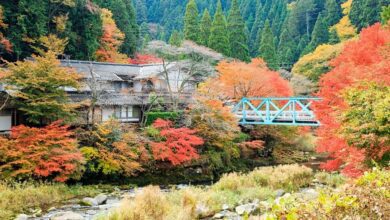 奧津溪的紅葉期約在10月下旬～11月中旬，此為往年盛況。　圖：岡山県観光連盟／來源