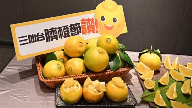 臺東臍橙被譽為是「橙類的勞斯萊斯」，因外觀像肚臍故名「臍橙」。　圖：臺東縣政府農業處漁業科／提供