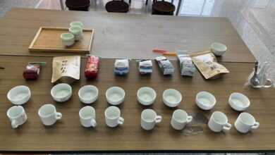 阿里山冬季茶會將在11/27登場。　圖：阿里山國家風景區管理處／提供