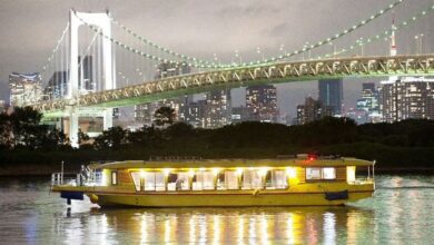 搭乘水上觀光船，從不同視角看見東京的熱門景點。　圖：Ⓒ江戶前汽船／來源