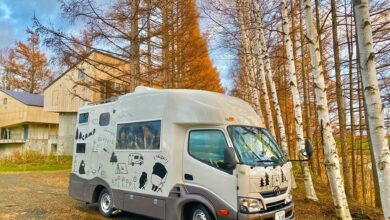 旅遊品牌DoMo與插畫家Cherng合作，在日本推出馬來貘「LAIMO」彩繪露營車，詢問度破表。（DoMo集團提供／陳祐誠傳真）