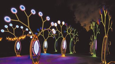 被譽為「全台最美山林燈節」的台南市龍崎光節-空山祭，因反應熱烈將延展至2月14日西洋情人節。（本報資料照片）