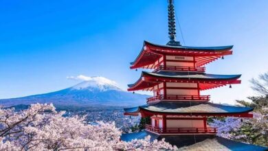 從新倉淺間神社的五層寶塔欣賞富士山、整個城市和盛開的櫻花全景。　圖：Klook／提供
