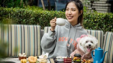 台北大直英迪格酒店sneaKOut BAR戶外酒吧將於明（10日）起成為寵物友善餐廳。（台北大直英迪格酒店提供）
