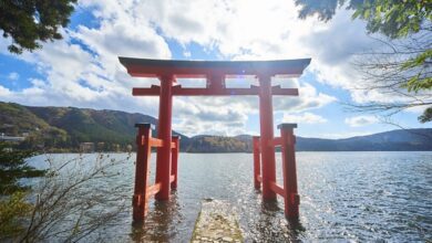 箱根神社的和平鳥居矗立於蘆之湖畔，是當地超熱門打卡地點。　圖：小田急箱根控股／來源