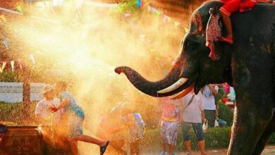 KKday推潑水節限定一日遊，大城遺跡巡禮＋與大象玩水歡慶，收集一年份好運。（圖／KKday提供）