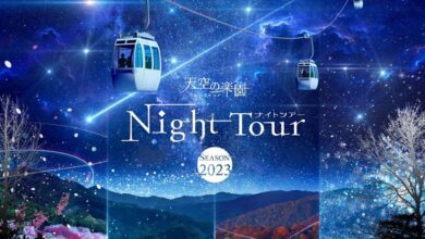 今年迎接第12度舉辦的「天空的樂園 NIGHT TOUR」，期間預計至2024年3/23為止。　圖：阿智☆昼神觀光局／來源