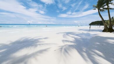 長灘島柔白細軟的招牌粉末沙，成為最受台灣旅客青睞的旅遊目的地。　圖：菲律賓觀光部／提供