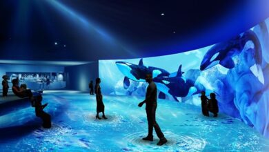 結合20公尺螢幕與120平方公尺地面投影的數位藝術區，彷彿帶領遊客進入海底世界。　圖：青青株式會社／來源