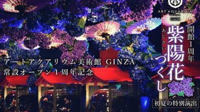「ART AQUARIUM MUSEUM GINZA」為近年來東京話題景點。　圖：ART AQUARIUM製作委員會／來源