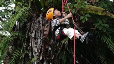 飯店推攀樹走繩兒童營隊。　圖：花蓮丘丘‧森旅／提供