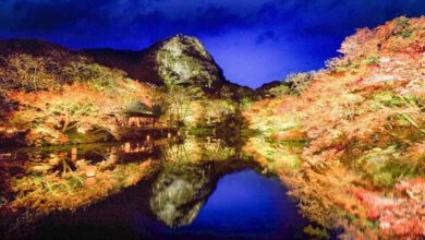 秋日的佐賀縣御船山樂園，有令人震懾難忘的楓葉美景。　圖：九州觀光機構／提供