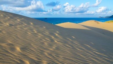 鳥取砂丘是日本規模最大的海岸砂丘，可同時欣賞到日本海。　圖：shutterstock／來源