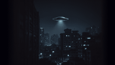 08195195ki9ztiphrcl7hh.png