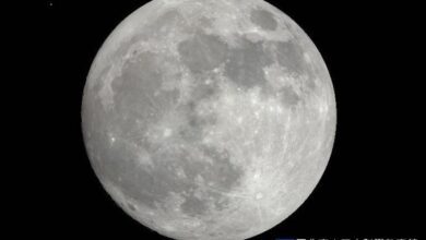 090307z4xlkikr7lk91un4.jpg