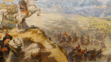 1014375xd56wdsm56wmbw0.jpg