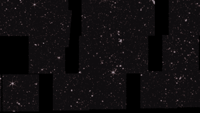 103639nc5nhfec959hhhh9.png