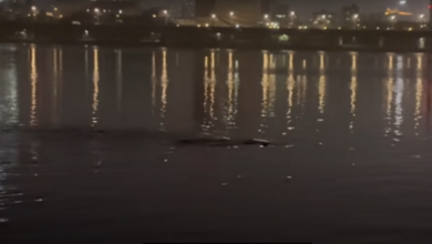 0813058dsxnq2s1n8kwcfn.png