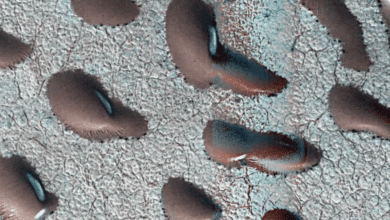 1002111p6wrz514lo4wkw5.png