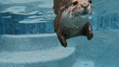231038x0cr0frcqcqfd07q.png