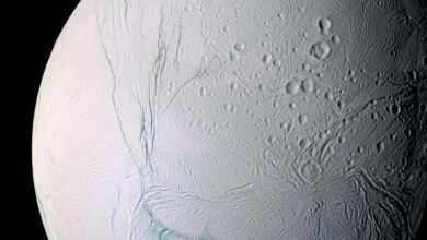 20260926002866.jpg
